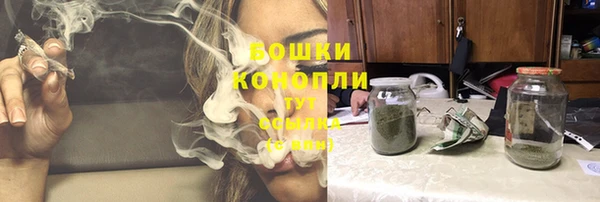 PSILOCYBIN Корсаков