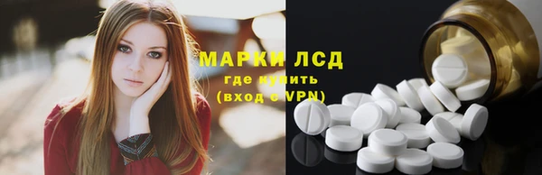 PSILOCYBIN Корсаков