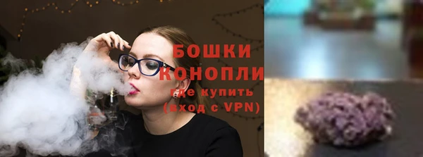PSILOCYBIN Корсаков