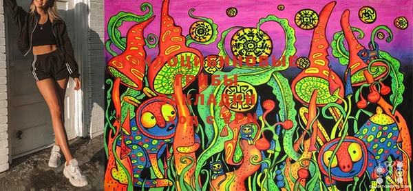 PSILOCYBIN Корсаков