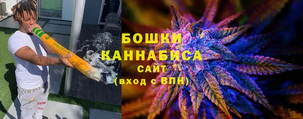PSILOCYBIN Корсаков