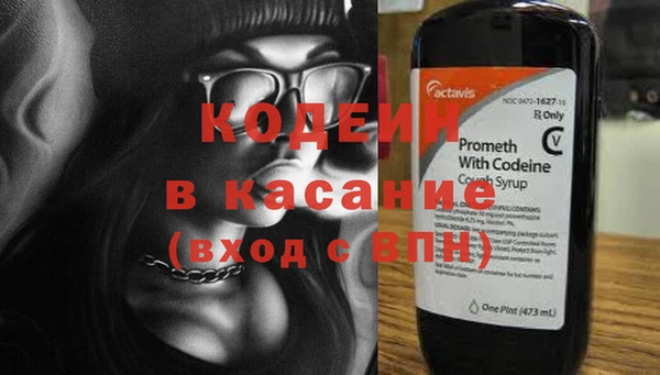 PSILOCYBIN Корсаков