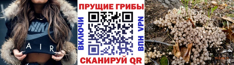 Галлюциногенные грибы Cubensis Купить Обоянь