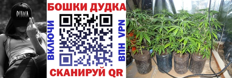 Канабис AK-47 Обоянь